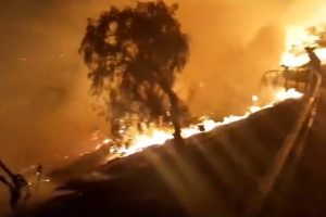 Las Condes: voluntarios de 9 Compañías extinguieron incendio forestal