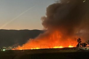 El CBS contuvo incendio forestal que amenazó a empresa de vehículos, en Renca