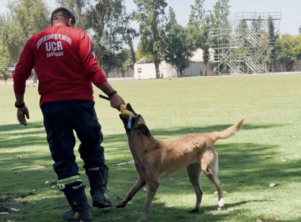 Unidad Canina de Rescate cierra el año en constante perfeccionamiento